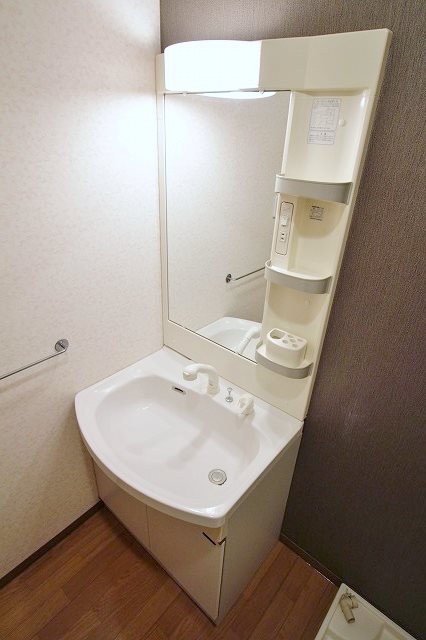 ブエナビスタ貝塚 洗面所