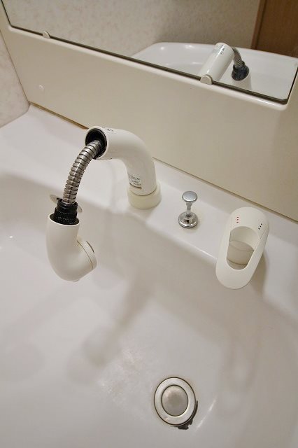 ブエナビスタ貝塚 シャンプードレッサー