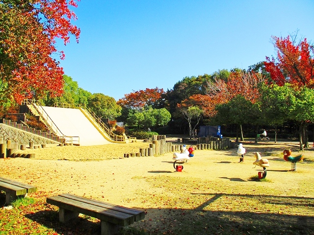 グランシャンブル 岸和田市中央公園