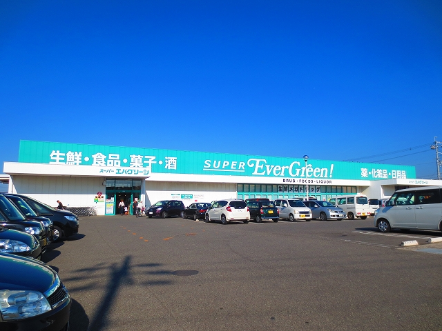 エテルノ泉南馬場 ｽｰﾊﾟｰｴﾊﾞｸﾞﾘｰﾝ 泉南店
