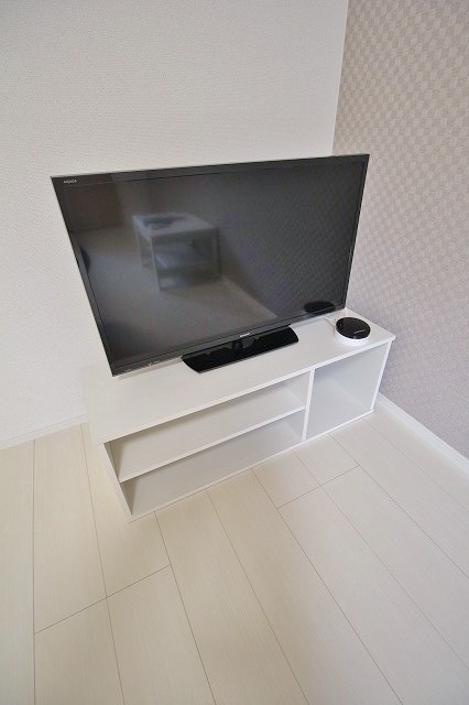 クレイノHiropalaceⅢ 液晶テレビ