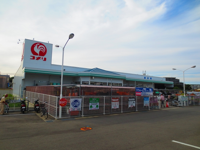 フェリーチェ ｺﾒﾘﾊｰﾄﾞｱﾝﾄﾞｸﾞﾘｰﾝ泉南信達店