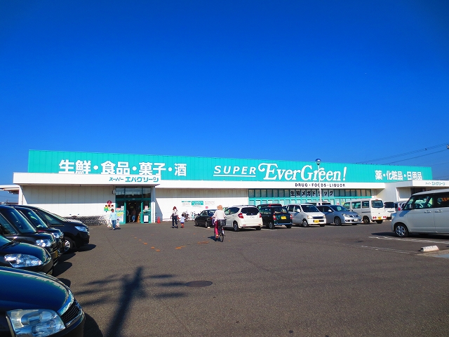 アンクレール SUPER EverGreen!(ｽｰﾊﾟｰｴﾊﾞｸﾞﾘｰﾝ) 泉南店