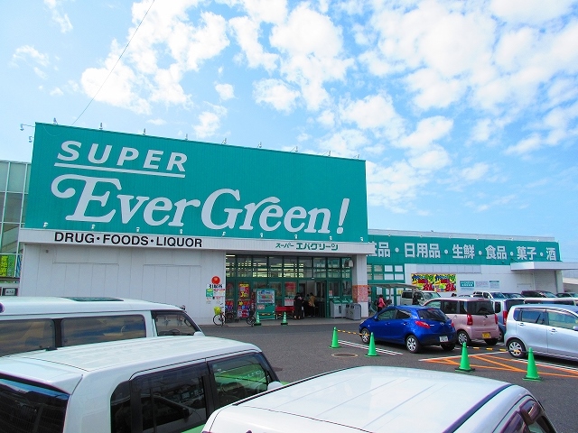 アウル ｽｰﾊﾟｰｴﾊﾞｸﾞﾘｰﾝ 阪南店