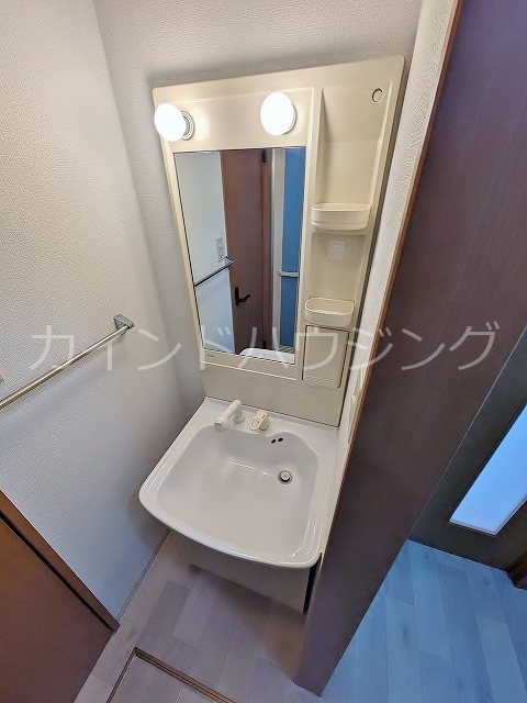 ラヴィーナ弐番館 シャンプードレッサー