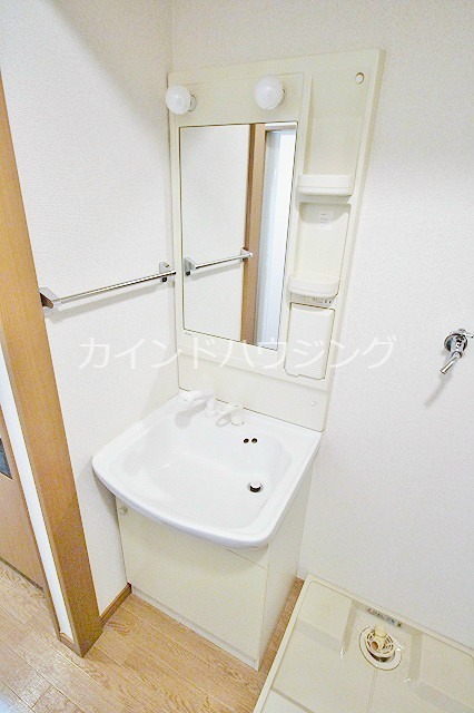 ラヴィーナ壱番館 シャンプードレッサー